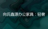 向氏鑫源办公家具：轻奢高级�
，演绎城市办公新美学