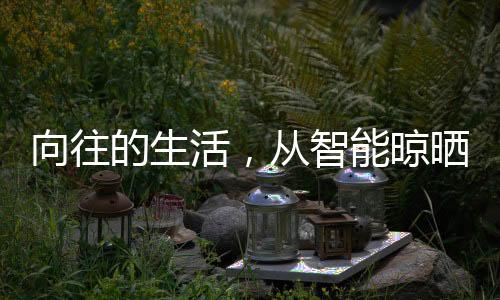 向往大大减轻了家务负担