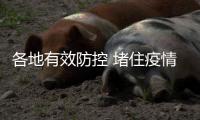 各地有效防控 堵住疫情传播