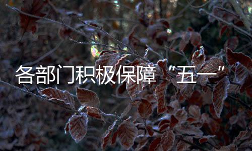 保障广大旅客平安顺畅出行