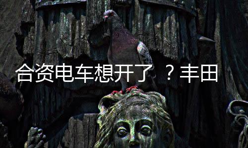 铂智崩服 智能座舱方面