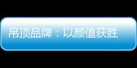吊顶品牌：以颜值获胜 以品质为王