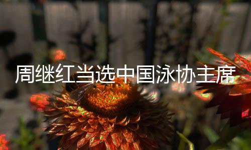 周继红在女子10米台项目夺冠