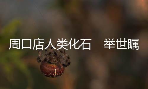 类化早期智人和晚期智人