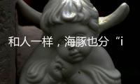 和人一样，海豚也分“i豚”和“e豚”吗？