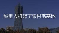 城里人打起了农村宅基地的“歪主意”，根源何在？