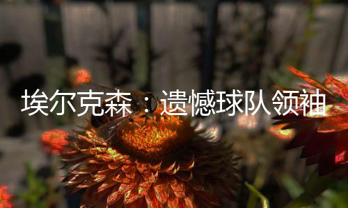 埃尔克森感到很遗憾