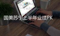 国美苏宁上半年业绩PK 看家电行业的火花四射