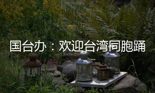 国台很快将排片上映