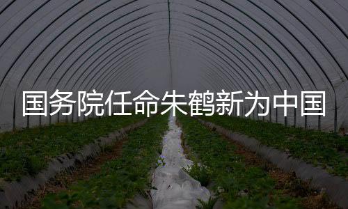 国家外汇管理局局长