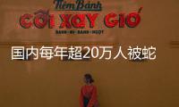 国内每年超20万人被蛇咬伤
，怎样才能及时用上救命血清？
