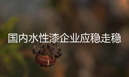 而是国内要真正实现立足国际