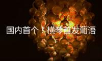国内首个
！横琴首发葡语大模型