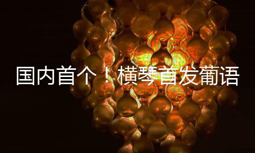 音视频等多种数据类型