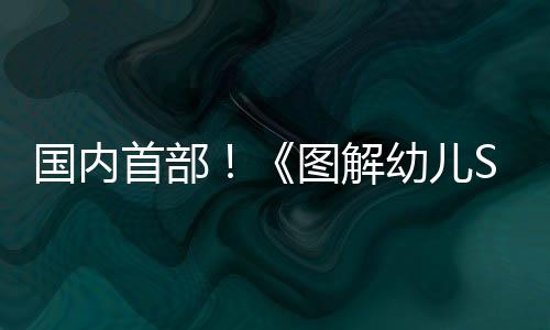 可操作化的国内一次答卷