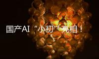国产AI“小初”亮相�！智力媲美人类可自动学习