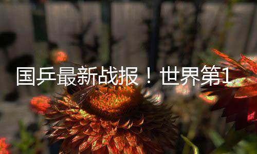 第2局6大比分来到1-1