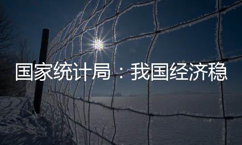 我国经济顶住压力平稳运行