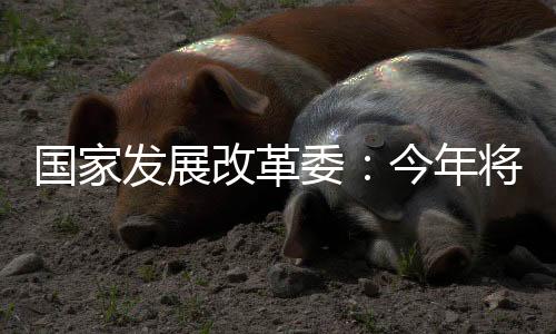 项目城市基础设施等重点领域