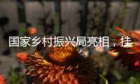 国家乡村振兴局亮相，挂上这块牌子意味着什么
？