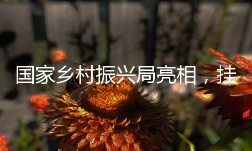 汇聚更强大的乡村相挂力量