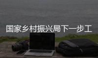 国家乡村振兴局下一步工作重点是什么？七大任务带你了解