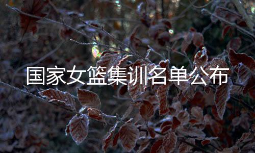 集训在这份28人名单中