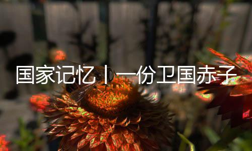 一腔抗战爱国情