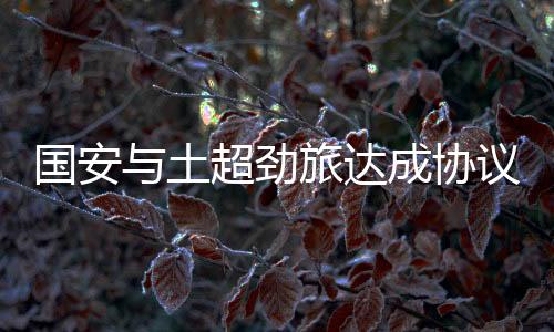 据多家土耳其媒体报道