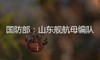 国防部：山东舰航母编队访港再次掀起“航母热”