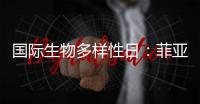 国际生物多样性日
：菲亚特动力科技助力特提斯研究所地中海鲸目动物和海洋环境