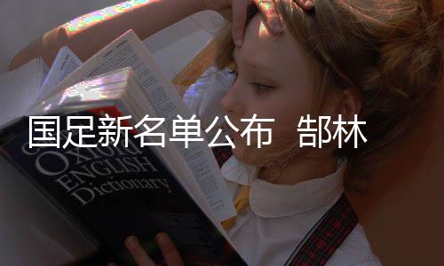 林孙而郜林和孙祥意外落选
