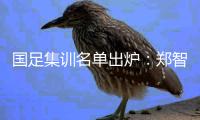 国足集训名单出炉：郑智落选 两U23新星入选