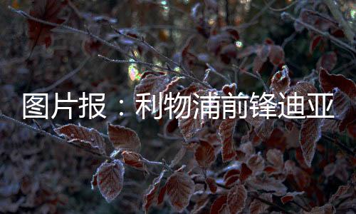 物浦由于穆西亚拉受伤