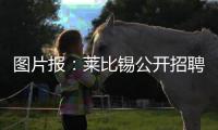 图片报：莱比锡公开招聘厨师，为球员和工作人员提供餐饮服务