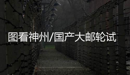 轮试失电试验等试验