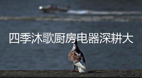 来促进当地的消费者升级