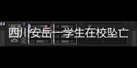 四川安岳一学生在校坠亡，官方通报