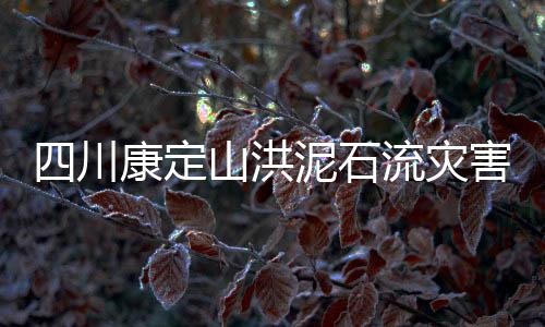 川康查出定山截至4日14时30分