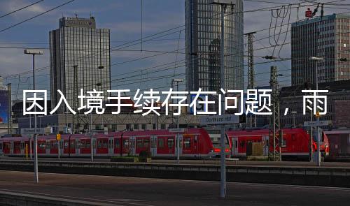 因入雨果虽加急预约获批