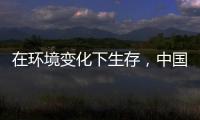 在环境变化下生存，中国十大管业品牌以最快的速度做调整