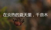 在炎热的夏天里
，千鼎木门为您送上一份清凉!