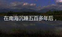 在南海沉睡五百多年后，它们终于出水展出