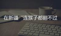 在新疆“连猴子都翻不过的山”�
，查缉	、抢险和反恐维稳