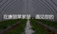 在康丽莱家居，遇见您的专属床垫