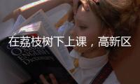 在荔枝树下上课，高新区这群青少年直呼“有韵味！”