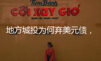 地方城投为何弃美元债�
，发日元债？