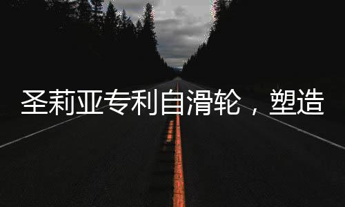 自主研发专利自滑轮