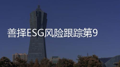善择虚增收入和利润