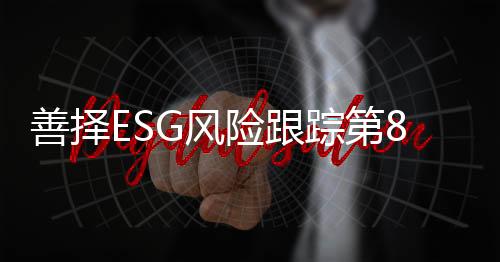 善择司违其中治理风险占19.2%